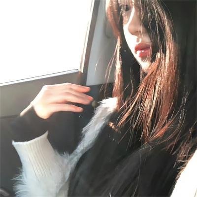 森林里的熊先生