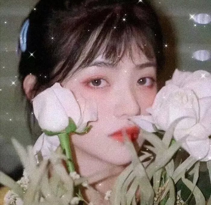 大胆贼